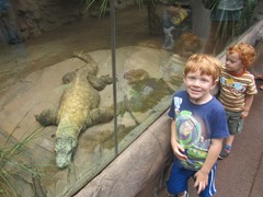 IMG_0605