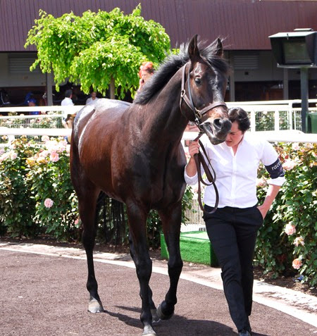 slade power 1 slade power 1