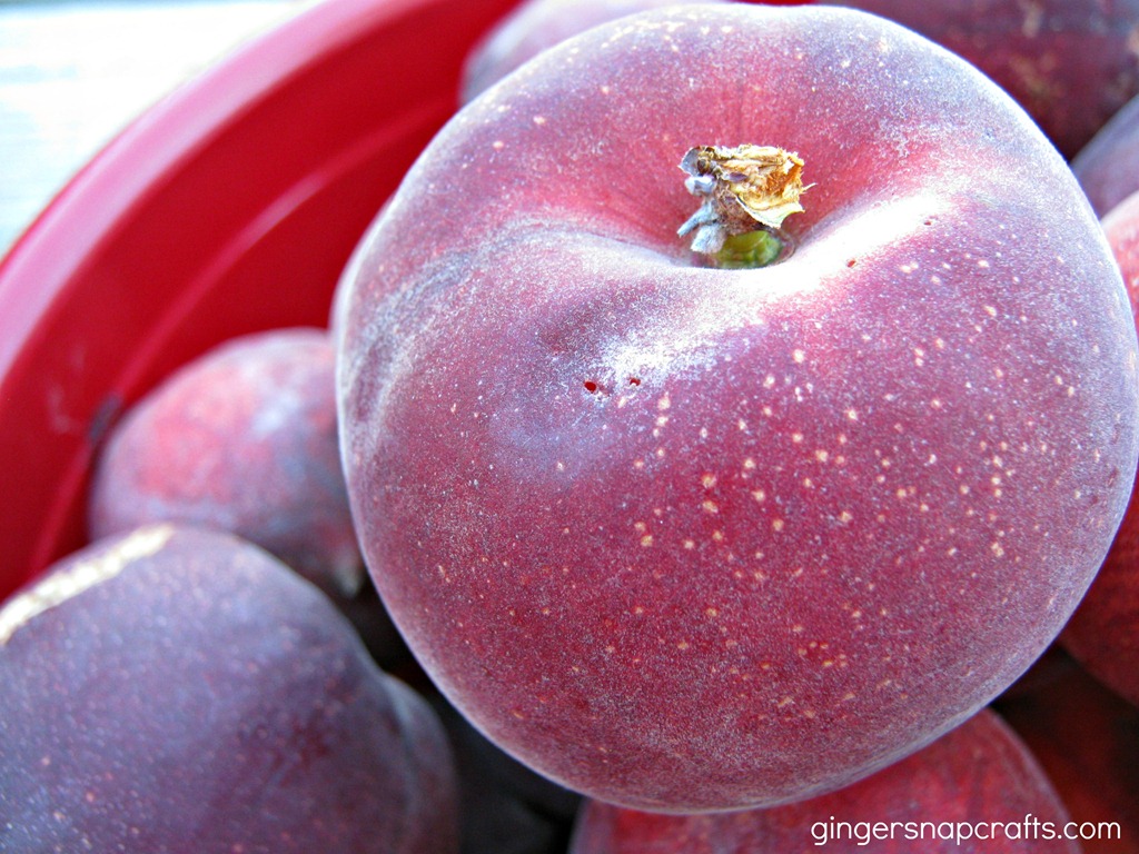 [peaches%255B4%255D.jpg]