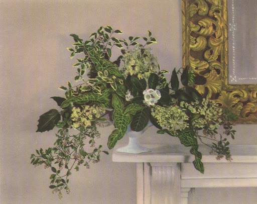 This unique arrangement proves that a mix of greenery can be stunning when you use different shapes, textures and tones. This unique arrangement proves that a mix of greenery can be stunning when you use different shapes, textures and tones.