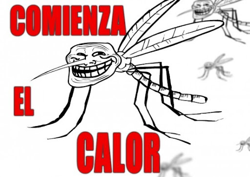 Mosquitos-en-el-verano-1.jpg