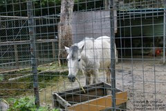 IMG_3581 IMG_3581