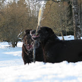 IMG_5808.JPG