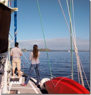 Sailing in the Bay of Islands