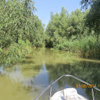IMG_5752.JPG