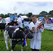 Cattle 009.jpg