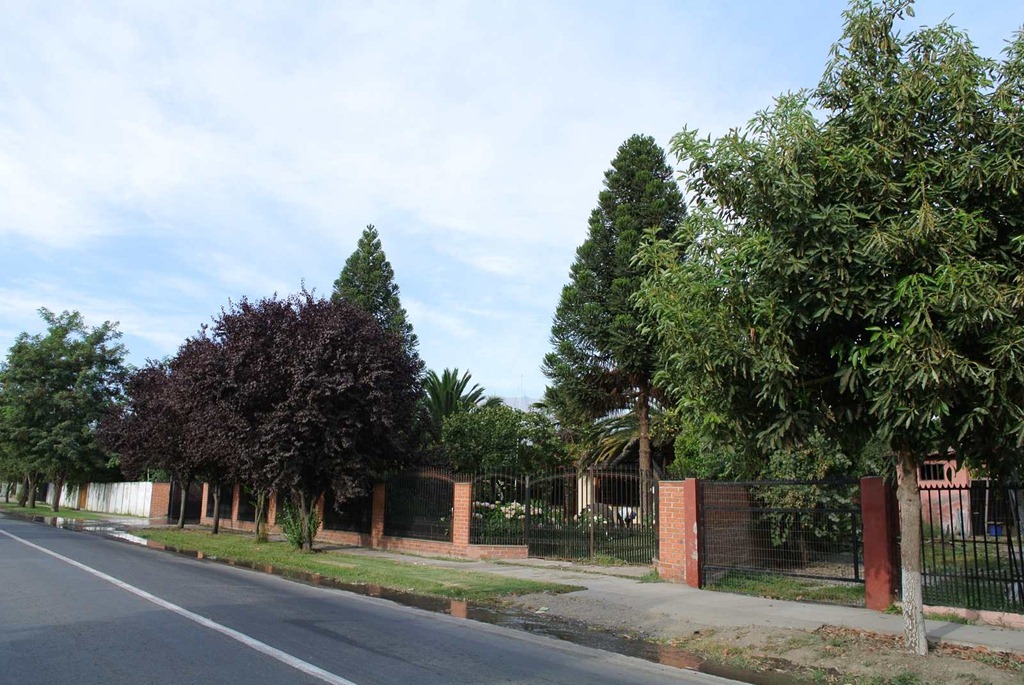 [DSC_8878%255B3%255D.jpg]