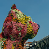 28/07/09 Bilbao, Guggenheim: ancora il cagnone floreale