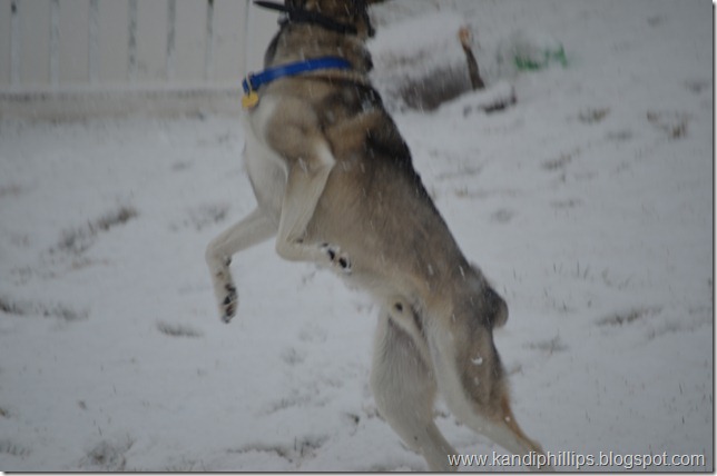 DSC_0676 DSC_0676