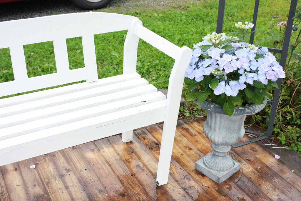 [IMG_2570%255B4%255D.jpg]