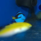 DSC_2173.jpg