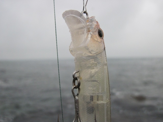 [IMG_0777%255B5%255D.jpg]