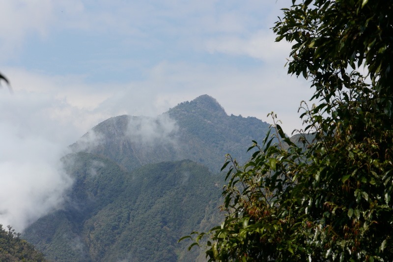 2013_0301 新城山_074 2013_0301 新城山_074