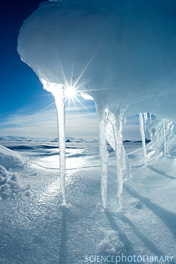 Melting Arctic ice, Lancaster Sound, Nunavut, Canada. During spring, the sun, which shines for up to 24-hours a day, melts the ice. In recent years, the effects of global warming have caused sea ice to melt earlier in the season and glaciers to recede. LOUISE MURRAY / SCIENCE PHOTO LIBRARY