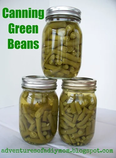 Canning Green Beans (10)
