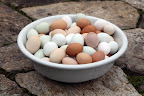 Our feathered friends lay delicious eggs that have rich, yellow yolks and sturdy shells.  It's all thanks to their organic and diverse diet!