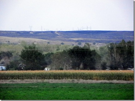 The black hill is evidence of a recent fire here.