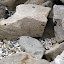 Hundreds of Oil Spots On Just 5 Rocks - Tauranga, New Zealand
