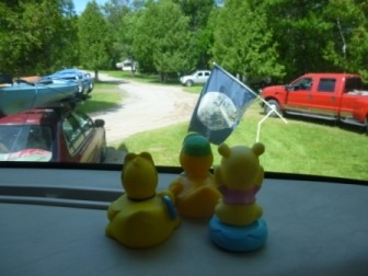 [Duckie-View6.jpg]