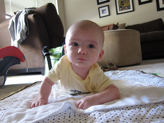 [IMG_1600%255B2%255D.jpg]