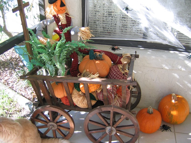 [IMG_0701%255B1%255D.jpg]