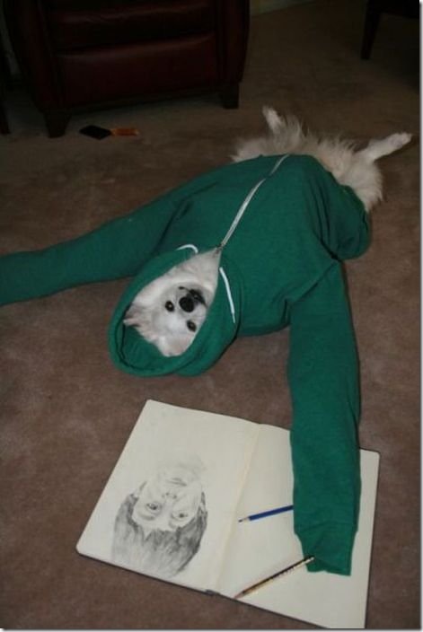viral-picdump-pics-e39203