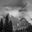 IMG_6008-2.jpg