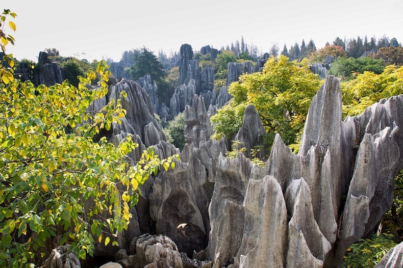 shilin-stone-forest-2 shilin-stone-forest-2