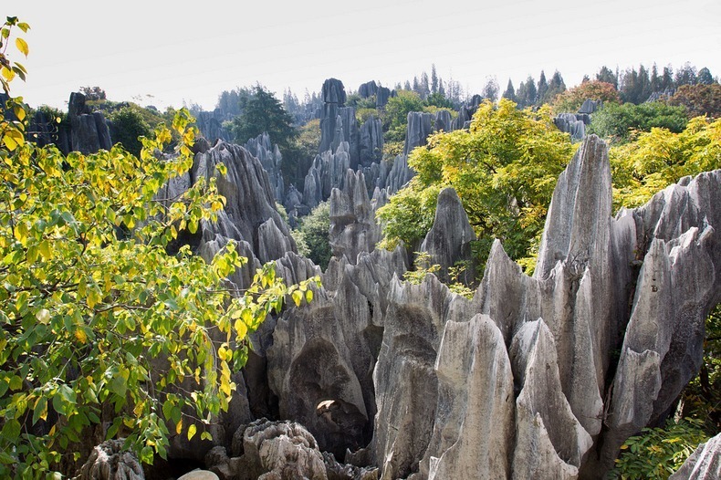 shilin-stone-forest-2