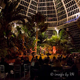 A magical night setting for a great gig by The London Lasses and Liverpool Lad Pete Quinn. This was the first time the Palm House in Sefton Park played host to an Liverpool Irish Festival event. The band members are Karen Ryan (fiddle & mandola), Elaine Cornwall (fiddle), Maureen Linane (accordion), Elma McElligot (flute), Brona McVittie (vocals & harp) and Pete Quinn (keyboard). They were also joined by a couple of guests during the performance. LIF'10 London Lasses & Pete Quinn at the Palm House