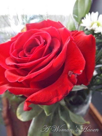 [DSCF1753%255B3%255D.jpg]