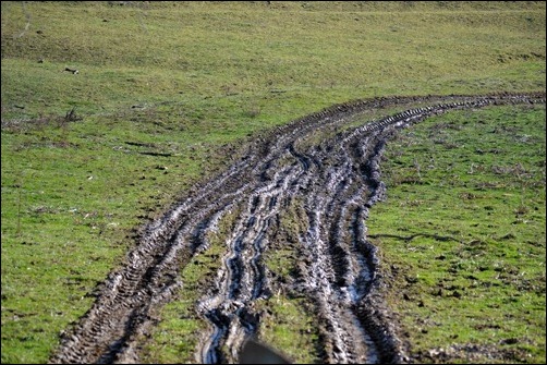 muddy tracks