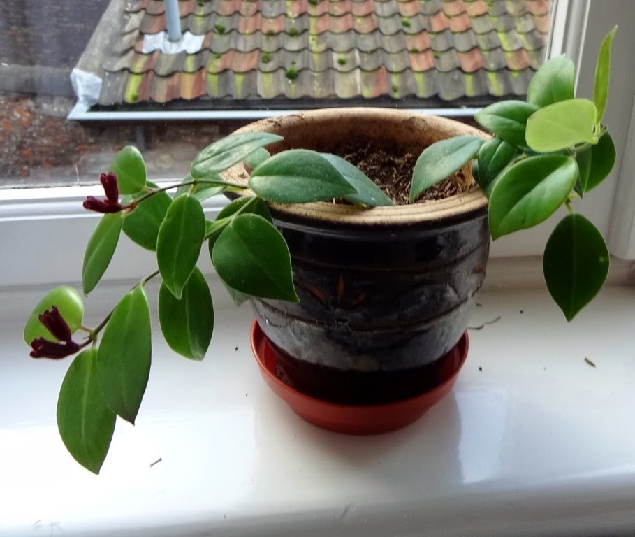 [DSC02483%255B4%255D.jpg]