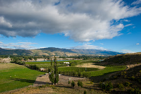 The sunny and sheltered Bald Hills vineyard in Bannockburn