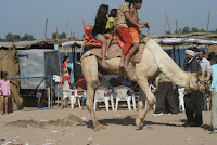 DSC05878.JPG