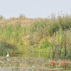 DSCN8171.JPG