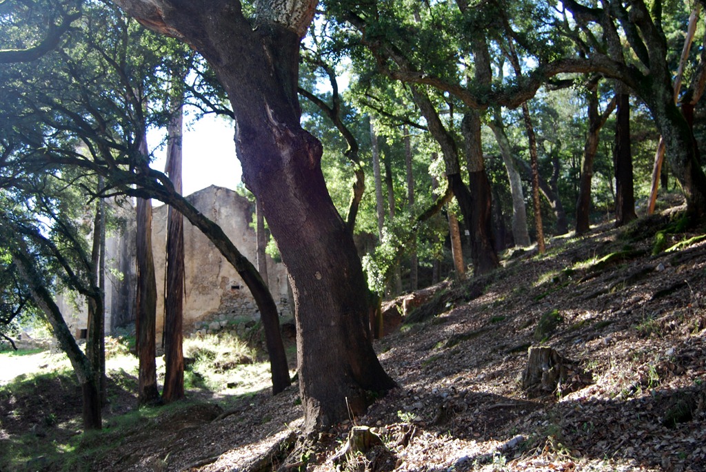 [DSC_0675%255B3%255D.jpg]