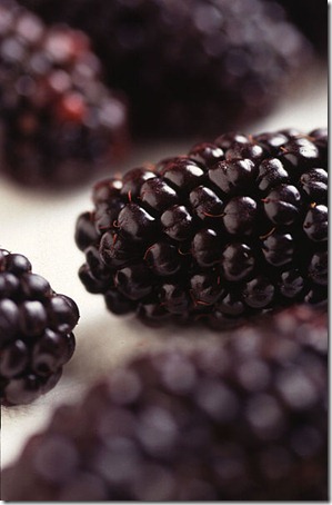 blackberry