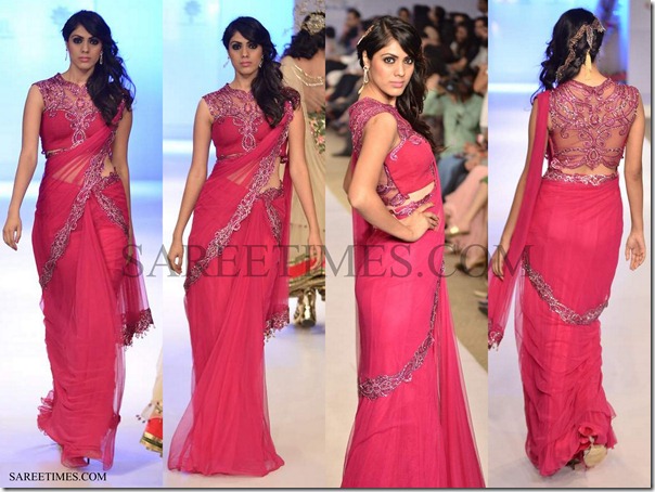 Anjali_Arjun_Kapoor_Saree