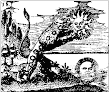 From Mylius Rosarium Philosophorum Manuscript 18