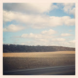 "Corn" - copyright Kelly Buros