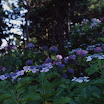 PICT1605.JPG
