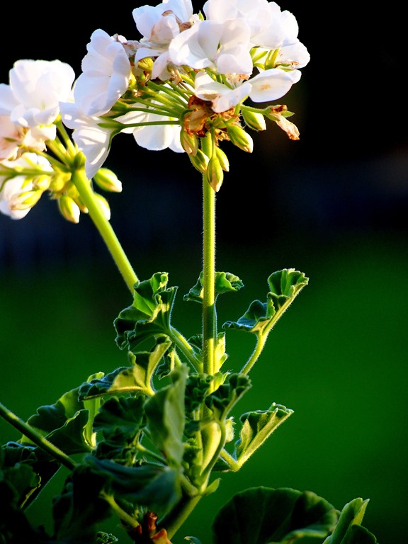 [29%2520July%25206%255B3%255D.jpg]