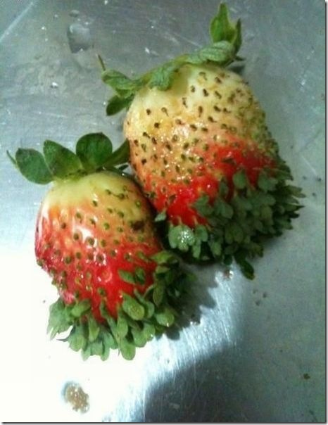 viral-picdump-pics-42