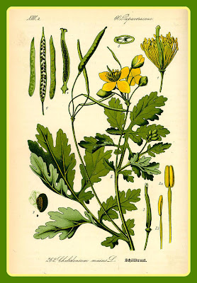 tafel_105_small.jpg
