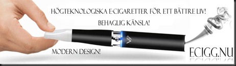 ecigg_nu_banner ecigg_nu_banner