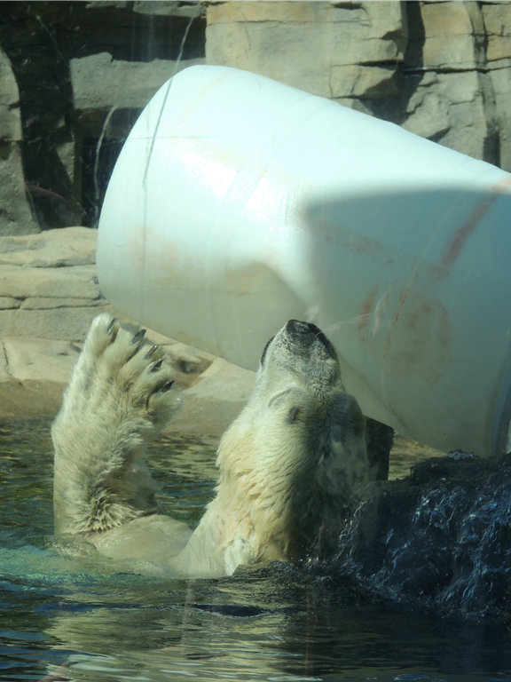 [DSCN0268%255B2%255D.png]