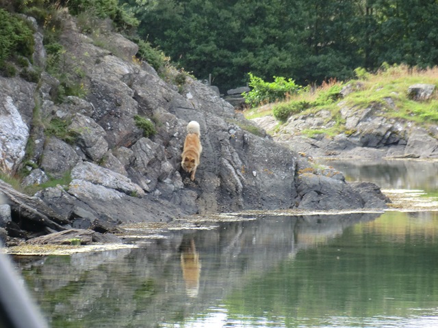 [juli2011Solaogbtur1073.jpg]
