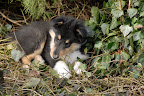 _DSC0089.JPG