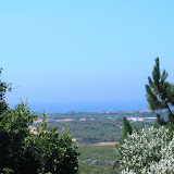 Restful Sea and green views